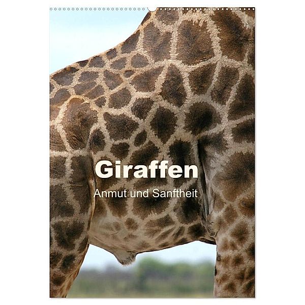 Giraffen - Anmut und Sanftheit (Wandkalender 2024 DIN A2 hoch), CALVENDO Monatskalender, Michael Herzog