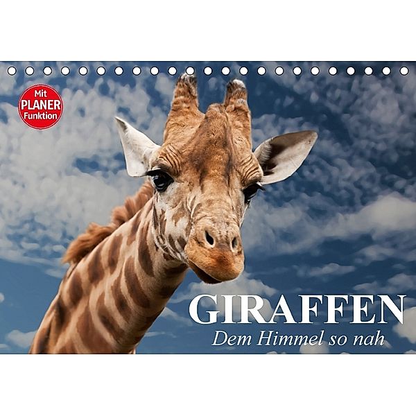 Giraffen. Dem Himmel so nah (Tischkalender 2018 DIN A5 quer), Elisabeth Stanzer