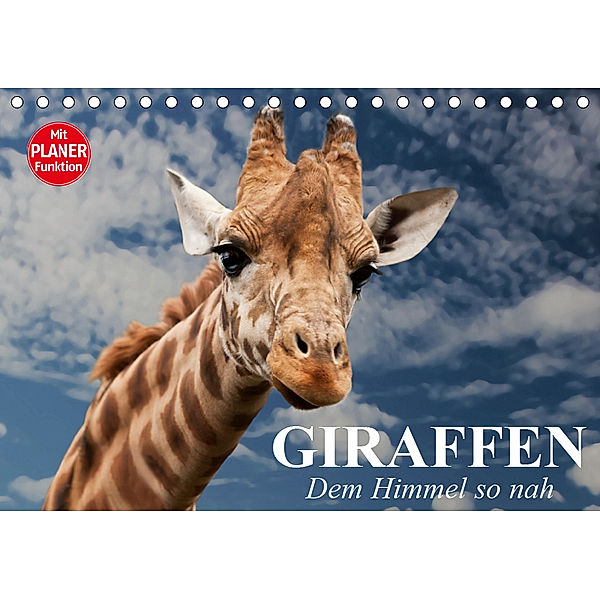 Giraffen. Dem Himmel so nah (Tischkalender 2019 DIN A5 quer), Elisabeth Stanzer