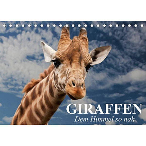 Giraffen. Dem Himmel so nah (Tischkalender 2022 DIN A5 quer), Elisabeth Stanzer