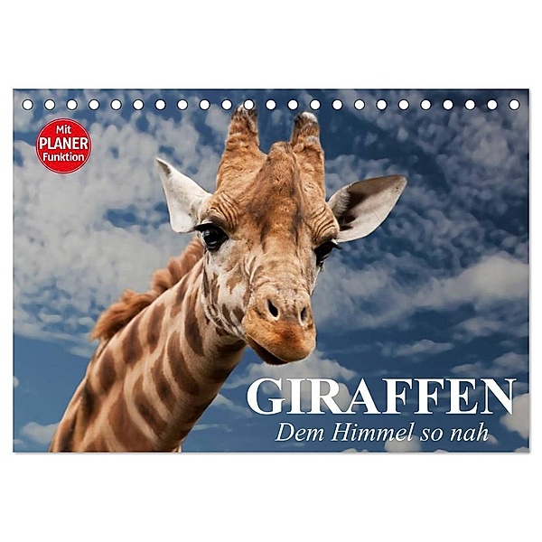 Giraffen. Dem Himmel so nah (Tischkalender 2024 DIN A5 quer), CALVENDO Monatskalender, Elisabeth Stanzer