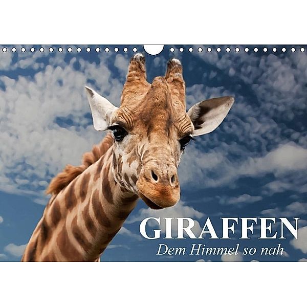 Giraffen. Dem Himmel so nah (Wandkalender 2017 DIN A4 quer), Elisabeth Stanzer