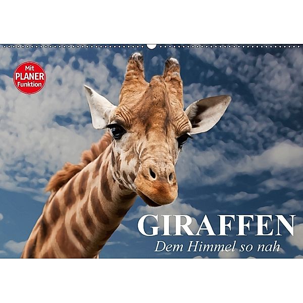 Giraffen. Dem Himmel so nah (Wandkalender 2018 DIN A2 quer), Elisabeth Stanzer