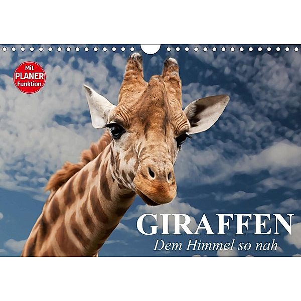 Giraffen. Dem Himmel so nah (Wandkalender 2021 DIN A4 quer), Elisabeth Stanzer