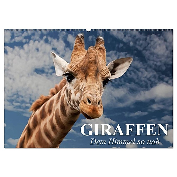 Giraffen. Dem Himmel so nah (Wandkalender 2024 DIN A2 quer), CALVENDO Monatskalender, Elisabeth Stanzer