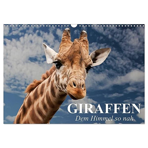 Giraffen. Dem Himmel so nah (Wandkalender 2024 DIN A3 quer), CALVENDO Monatskalender, Elisabeth Stanzer