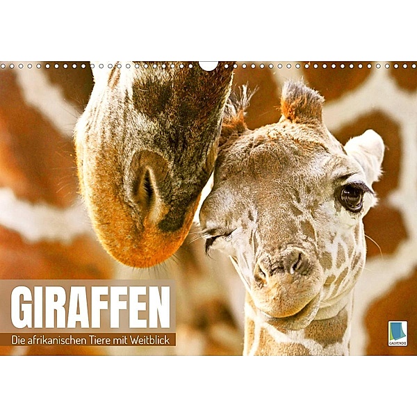 Giraffen: die afrikanischen Tiere mit Weitblick (Wandkalender 2023 DIN A3 quer), Calvendo
