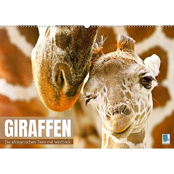 Giraffen: die afrikanischen Tiere mit Weitblick (Wandkalender 2023 DIN A2 quer), Calvendo