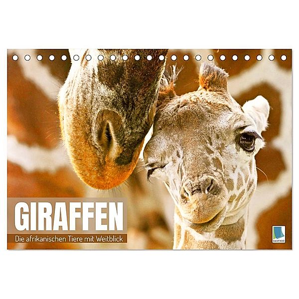 Giraffen: die afrikanischen Tiere mit Weitblick (Tischkalender 2024 DIN A5 quer), CALVENDO Monatskalender, Calvendo