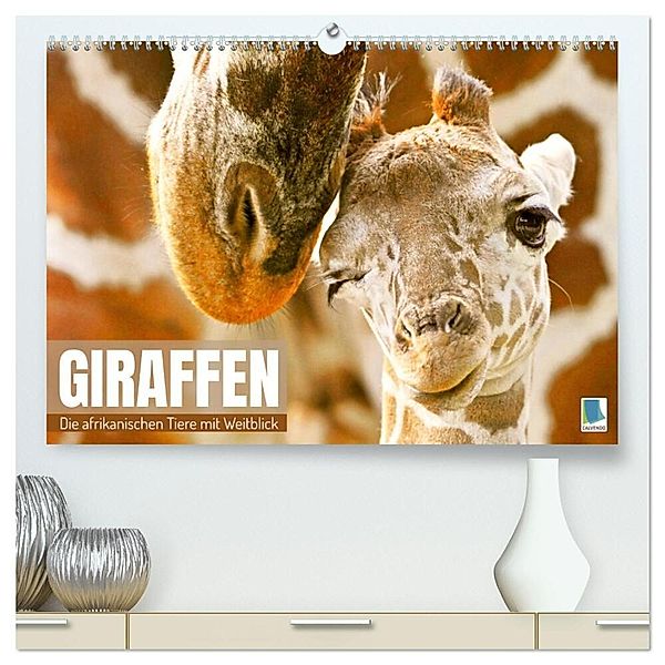 Giraffen: die afrikanischen Tiere mit Weitblick (hochwertiger Premium Wandkalender 2025 DIN A2 quer), Kunstdruck in Hochglanz, Calvendo