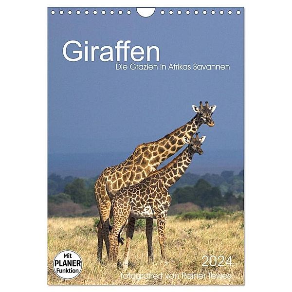 Giraffen - Die Grazien in Afrikas Savannen (Wandkalender 2024 DIN A4 hoch), CALVENDO Monatskalender, Rainer Tewes