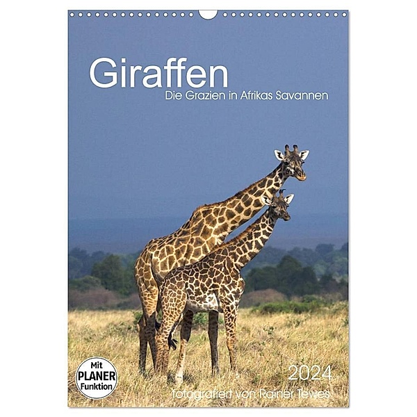 Giraffen - Die Grazien in Afrikas Savannen (Wandkalender 2024 DIN A3 hoch), CALVENDO Monatskalender, Rainer Tewes