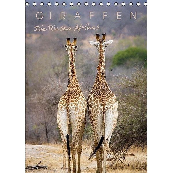 Giraffen - Die Riesen Afrikas (Tischkalender 2017 DIN A5 hoch), Markus Pavlowsky