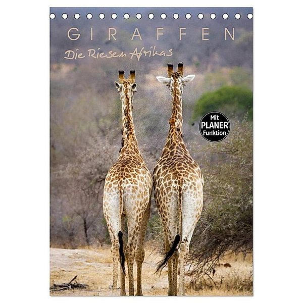 Giraffen - Die Riesen Afrikas (Tischkalender 2025 DIN A5 hoch), CALVENDO Monatskalender, Calvendo, Markus Pavlowsky Photography