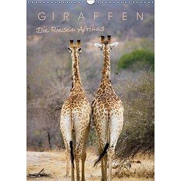 Giraffen - Die Riesen Afrikas (Wandkalender 2019 DIN A3 hoch), Markus Pavlowsky