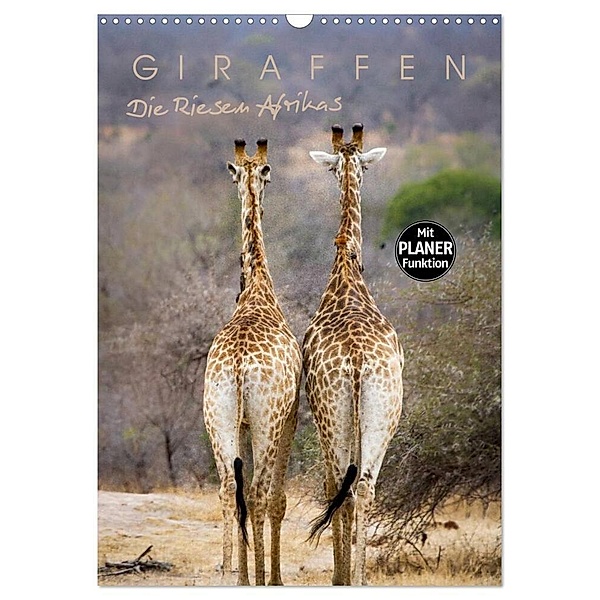 Giraffen - Die Riesen Afrikas (Wandkalender 2024 DIN A3 hoch), CALVENDO Monatskalender, Markus Pavlowsky Photography
