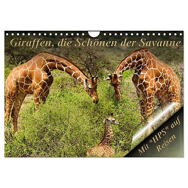 Giraffen, die Schönen der Savanne (Wandkalender 2024 DIN A4 quer), CALVENDO Monatskalender, Heinz-Peter Schwerin