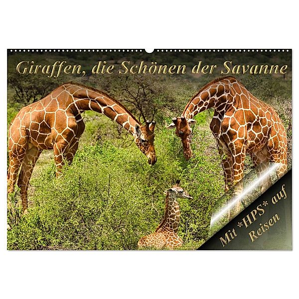 Giraffen, die Schönen der Savanne (Wandkalender 2024 DIN A2 quer), CALVENDO Monatskalender, Heinz-Peter Schwerin