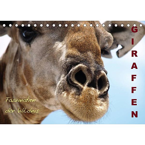 Giraffen - Faszination der Wildnis (Tischkalender 2023 DIN A5 quer), Nadine Haase