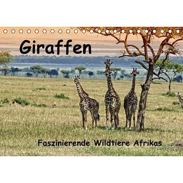 Giraffen. Faszinierende Wildtiere Afrikas (Tischkalender 2016 DIN A5 quer), Susan Michel