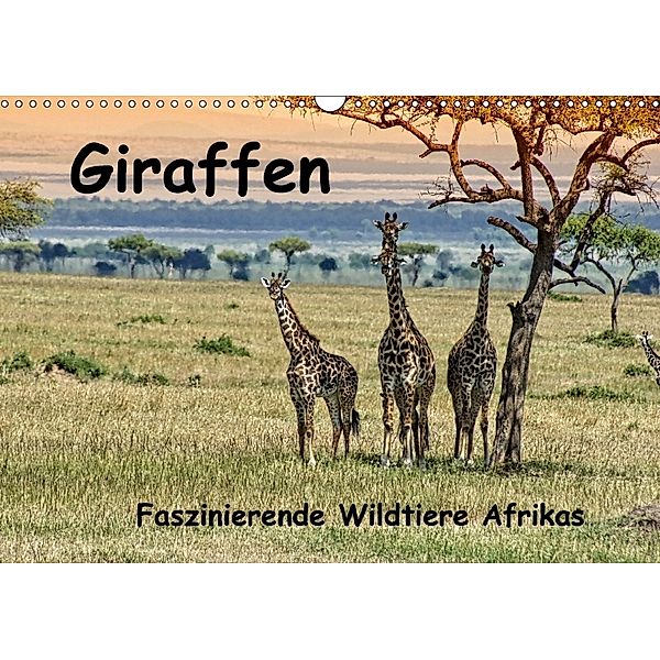 Giraffen. Faszinierende Wildtiere Afrikas (Wandkalender 2018 DIN A3 quer) Dieser erfolgreiche Kalender wurde dieses Jahr, Susan Michel