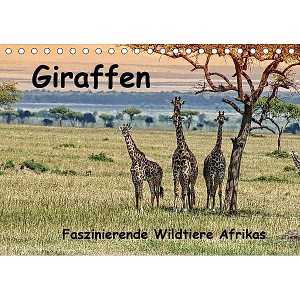 Giraffen. Faszinierende Wildtiere Afrikas (Tischkalender 2021 DIN A5 quer), Susan Michel