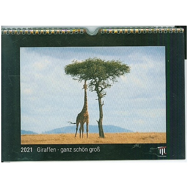 Giraffen - ganz schön groß 2021 - Black Edition - Timokrates Kalender, Wandkalender, Bildkalender - DIN A4 (ca. 30 x 21 cm)