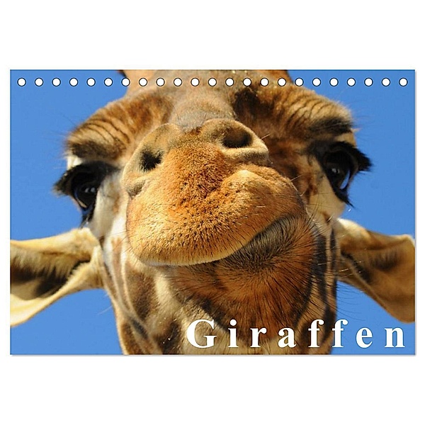 Giraffen / Geburtstagskalender (Tischkalender 2024 DIN A5 quer), CALVENDO Monatskalender, Elisabeth Stanzer