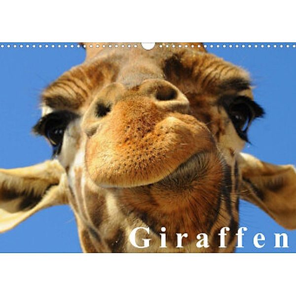 Giraffen / Geburtstagskalender (Wandkalender 2022 DIN A3 quer), Elisabeth Stanzer