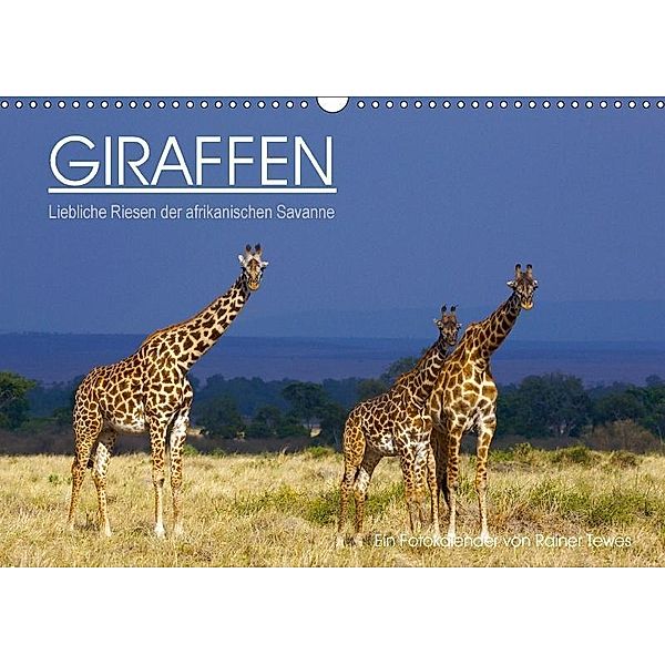 GIRAFFEN - Liebliche Riesen der afrikanischen Savanne (Wandkalender 2017 DIN A3 quer), Rainer Tewes