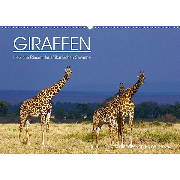 GIRAFFEN - Liebliche Riesen der afrikanischen Savanne (Wandkalender 2019 DIN A2 quer), Rainer Tewes