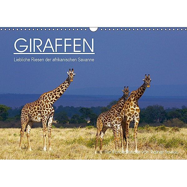 GIRAFFEN - Liebliche Riesen der afrikanischen Savanne (Wandkalender 2019 DIN A3 quer), Rainer Tewes