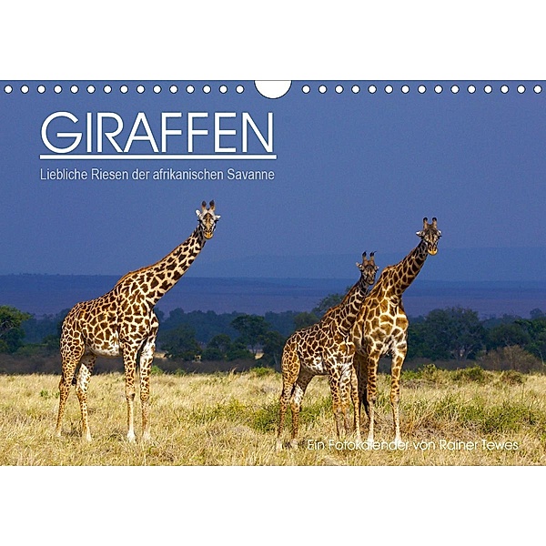 GIRAFFEN - Liebliche Riesen der afrikanischen Savanne (Wandkalender 2021 DIN A4 quer), Rainer Tewes