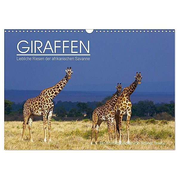 GIRAFFEN - Liebliche Riesen der afrikanischen Savanne (Wandkalender 2024 DIN A3 quer), CALVENDO Monatskalender, Rainer Tewes