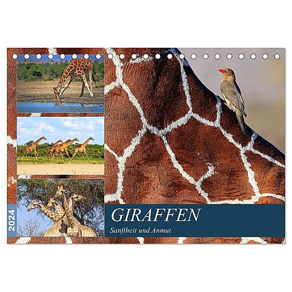 Giraffen - Sanftheit und Anmut (Tischkalender 2024 DIN A5 quer), CALVENDO Monatskalender, Michael Herzog