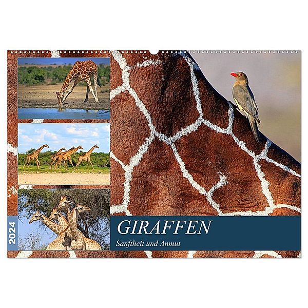 Giraffen - Sanftheit und Anmut (Wandkalender 2024 DIN A2 quer), CALVENDO Monatskalender, Michael Herzog