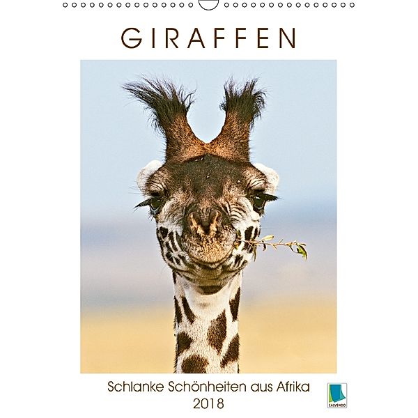 Giraffen: Schlanke Schönheiten aus Afrika (Wandkalender 2018 DIN A3 hoch), CALVENDO