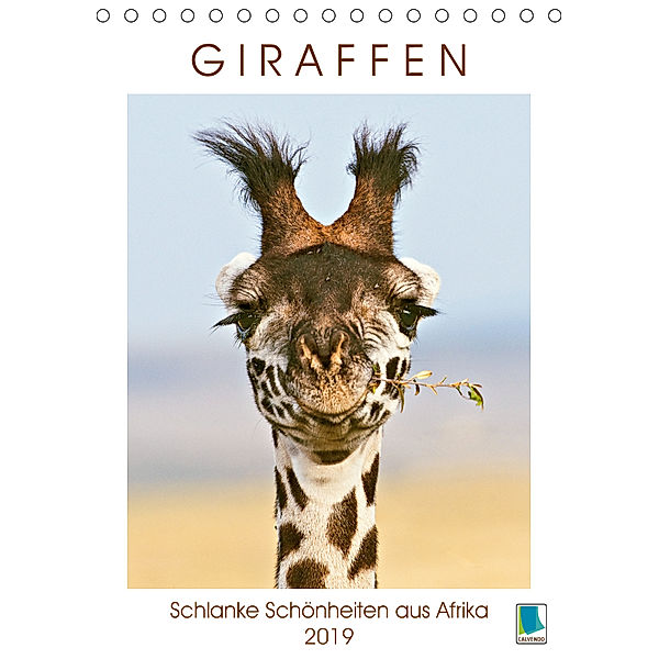 Giraffen: Schlanke Schönheiten aus Afrika (Tischkalender 2019 DIN A5 hoch), Calvendo