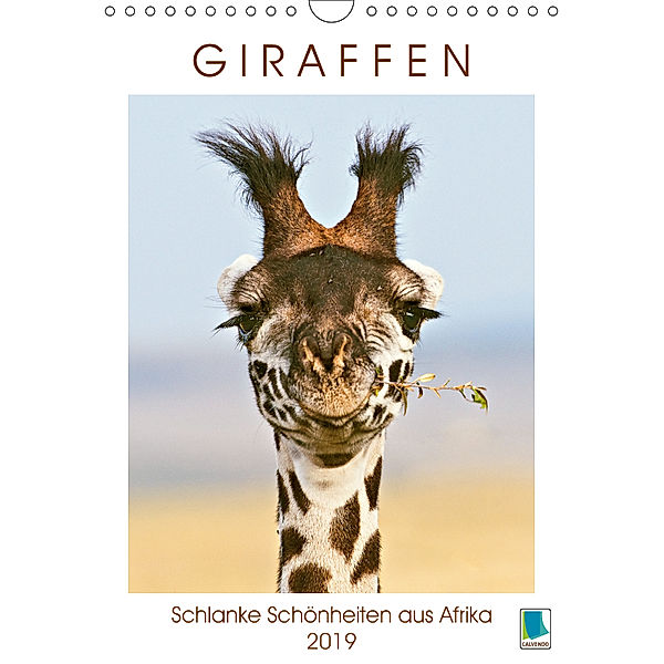 Giraffen: Schlanke Schönheiten aus Afrika (Wandkalender 2019 DIN A4 hoch), Calvendo