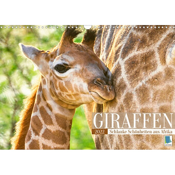 Giraffen: Schlanke Schönheiten aus Afrika (Wandkalender 2022 DIN A3 quer), Calvendo