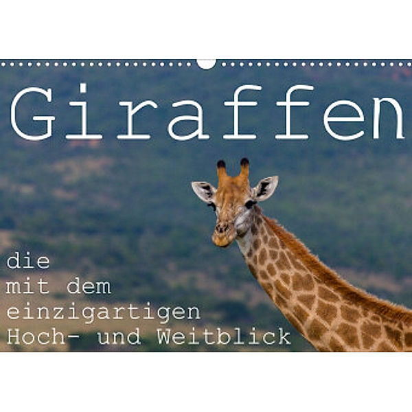 Giraffen - Tiere mit dem einzigartigen Hoch- und Weitblick (Wandkalender 2022 DIN A3 quer), rsiemer r.siemer@bremen.de