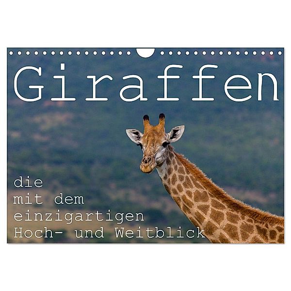 Giraffen - Tiere mit dem einzigartigen Hoch- und Weitblick (Wandkalender 2024 DIN A4 quer), CALVENDO Monatskalender, rsiemer