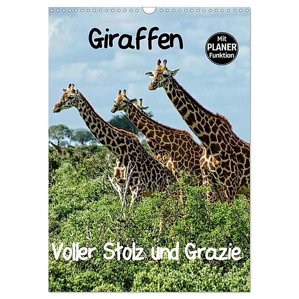 Giraffen. Voller Stolz und Grazie (Wandkalender 2024 DIN A3 hoch), CALVENDO Monatskalender, Susan Michel