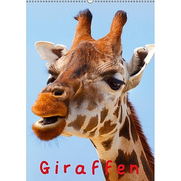 Giraffen (Wandkalender 2017 DIN A2 hoch), Elisabeth Stanzer