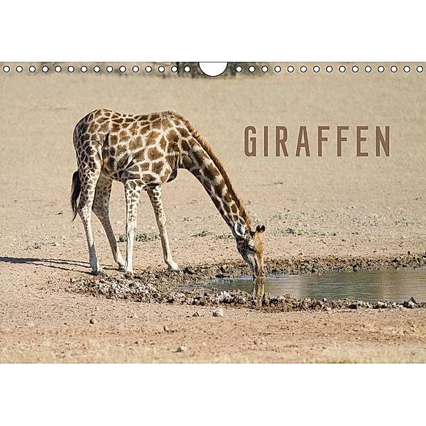 Giraffen (Wandkalender 2017 DIN A4 quer), Markus Pavlowsky