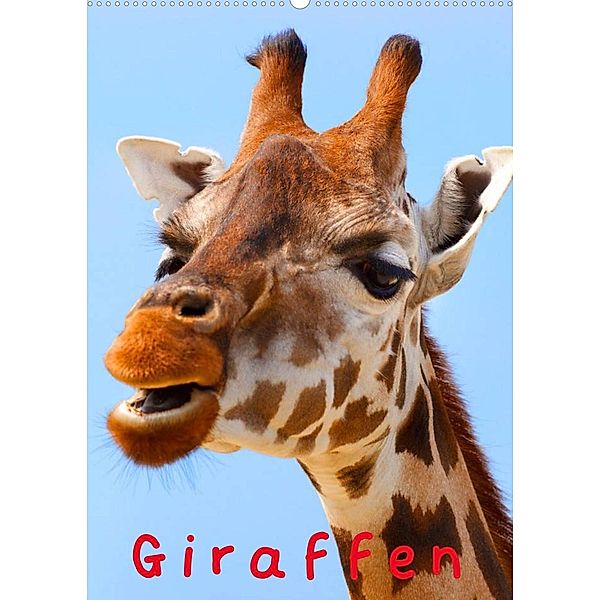 Giraffen (Wandkalender 2023 DIN A2 hoch), Elisabeth Stanzer