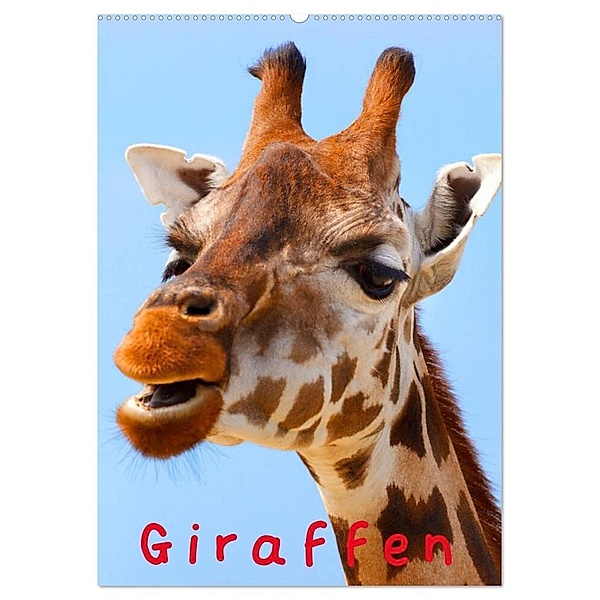 Giraffen (Wandkalender 2024 DIN A2 hoch), CALVENDO Monatskalender, Elisabeth Stanzer