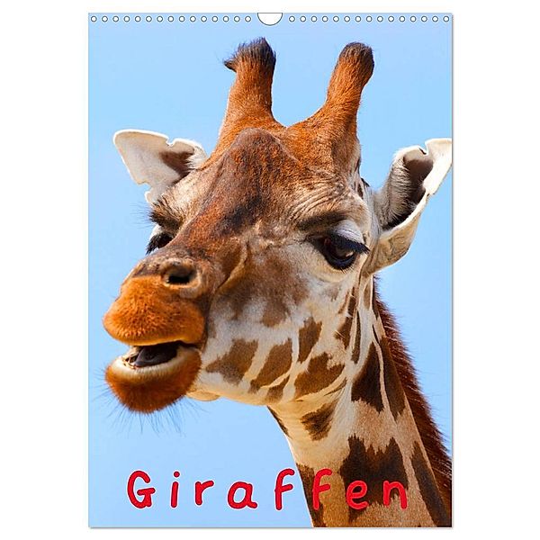Giraffen (Wandkalender 2025 DIN A3 hoch), CALVENDO Monatskalender, Calvendo, Elisabeth Stanzer