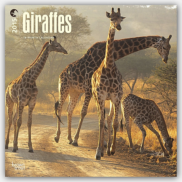 Giraffes, Broschürenkalender 2015