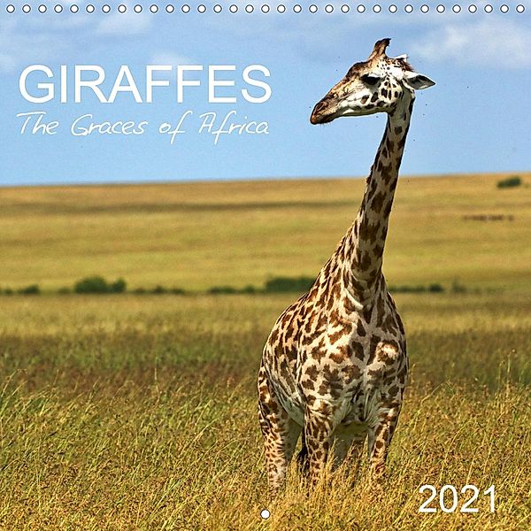 Giraffes - The Graces of Africa (Wall Calendar 2021 300 × 300 mm Square), Rainer Tewes